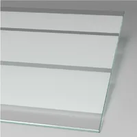 Type de verre: Dépoli light